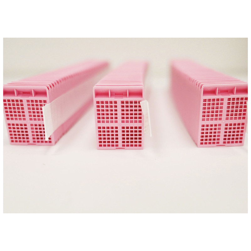 Kasetki histopatologiczne Pathosolutions Premium z otworami 2 x 2 mm na taśmie